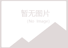 彝良县夏岚造纸有限公司